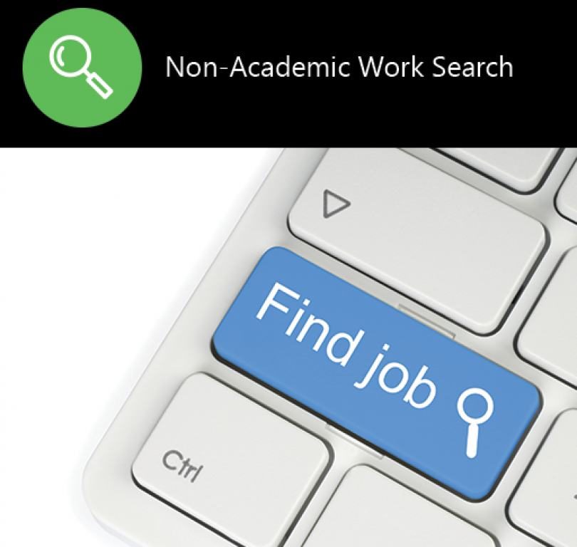 Non-Academic Work Search